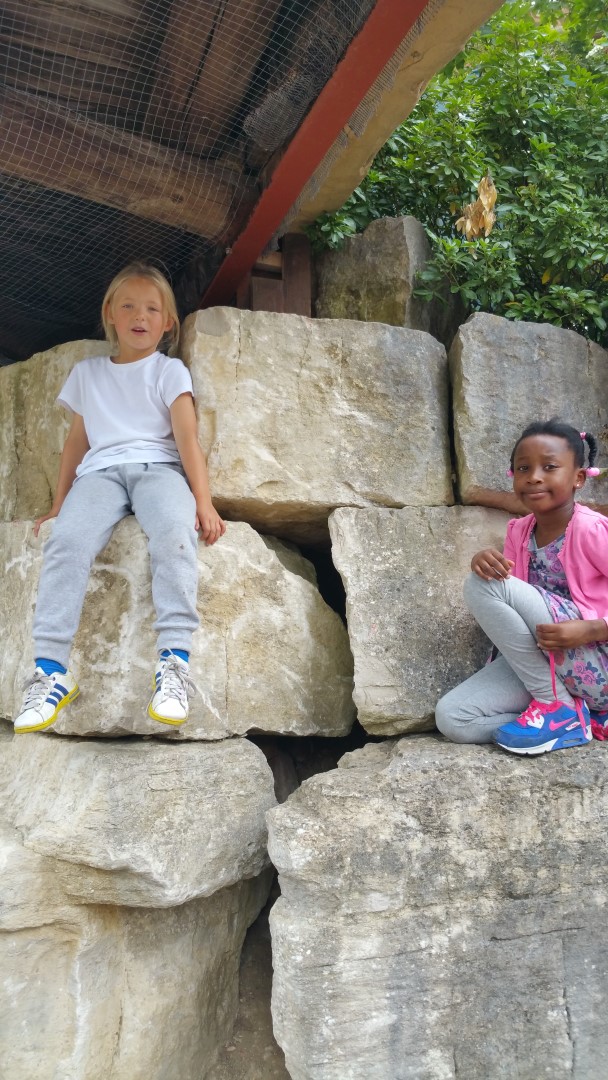 20150819 125106 (Large)